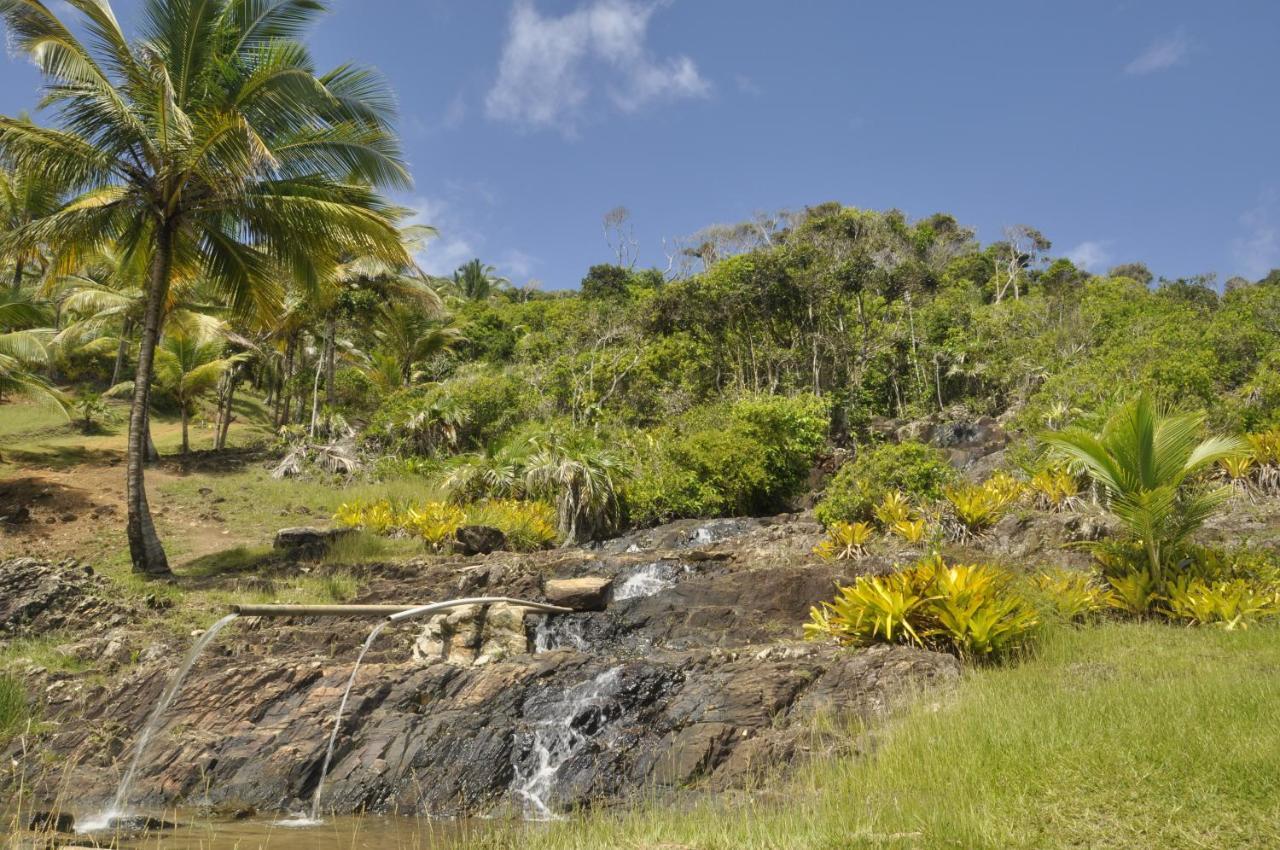 Recanto Dos Dendes Chales Serra Grande  Buitenkant foto